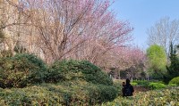 gpe是什么(gpe是什么材料)