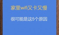 为什么手机开不了wifi(为什么手机开不了机充电也没反应)
