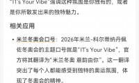 vibe什么意思(killmyvibe什么意思)
